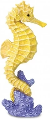 Zeepaardje Op Koraal Safari 204329