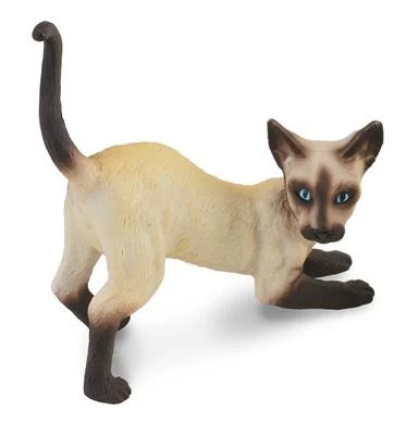 Siamese Kat CollectA 88332 1 Siamese Kat CollectA 88332