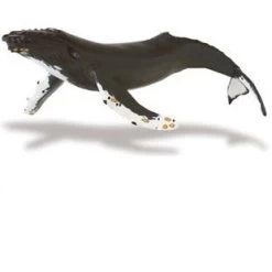 Bultrug (Serie Monterey Bay Aquarium) S210002 8 Bultrug (Serie Monterey Bay Aquarium) S210002 -Dierenmodel Speelgoed Winkel 890b36f23c4b6f2039c38cfa27b58d2bbf8f90b0