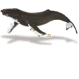 Bultrug (Serie Monterey Bay Aquarium) S210002 4 Bultrug (Serie Monterey Bay Aquarium) S210002 - Afbeelding 4