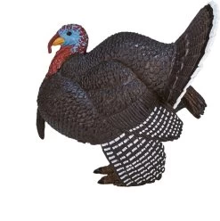 Kalkoen Mojo 387285 -Dierenmodel Speelgoed Winkel 893c93a65ab1160a29801ca134af6aff6bea6b69