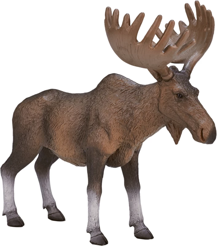 Eland Mojo 387023 1 Eland Mojo 387023