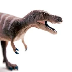 Nanotyrannus S101044 3 Nanotyrannus S101044 -Dierenmodel Speelgoed Winkel 8c15cb2c5d28f541f8e07e2a265739c5f86c11f7