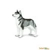 Siberische Husky Safari 255229