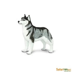 Siberische Husky Safari 255229