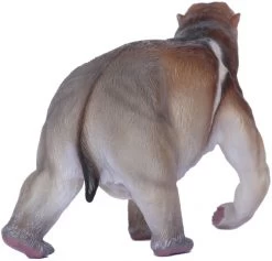 Diprotodon Southland Replicas 7 Diprotodon Southland Replicas -Dierenmodel Speelgoed Winkel 8d7bb2442f930175571b73af57f8b0072a2b4ea0