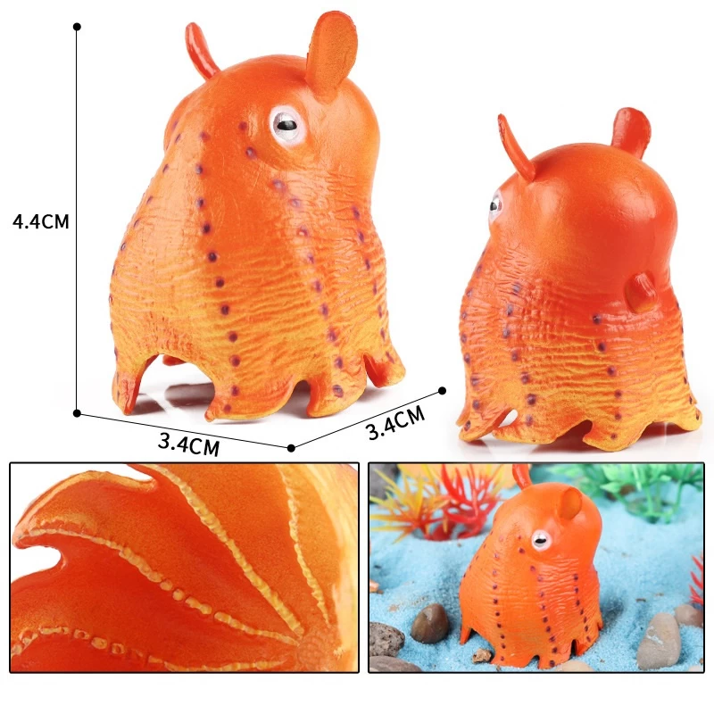 Dumbo Octopus 2 Dumbo Octopus - Afbeelding 2