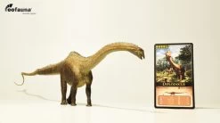 Diplodocus | EoFauna Nu Leverbaar -Dierenmodel Speelgoed Winkel 90df6cdd7ec0a1e749aed82c69bef46509bfe1ff