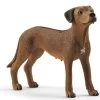 Leeuwhond Schleich 13895