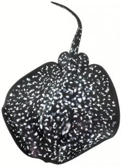 Marmerrog S100317 - Marble Ray -Dierenmodel Speelgoed Winkel 96c9c0b5ccab7c822c4469d70d686cdecdcbebd0