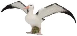 Albatros CollectA 88765 -Dierenmodel Speelgoed Winkel 96dbe4375ed61f0c89d1a488b28d18d6849464aa