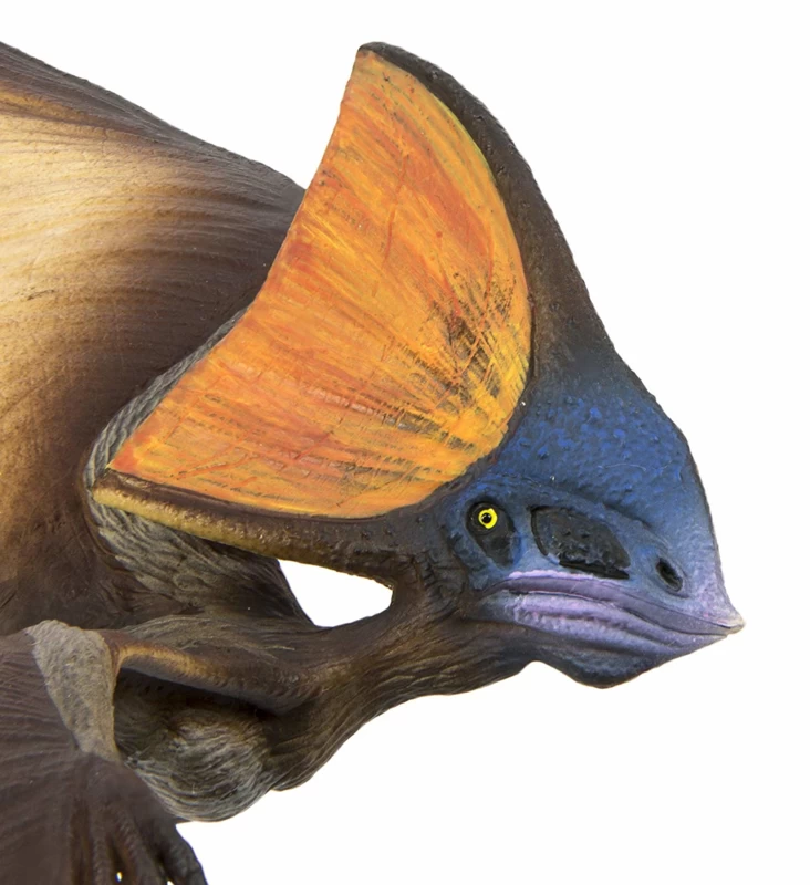 Tapejara Safari 284229 2 Tapejara Safari 284229 - Afbeelding 2