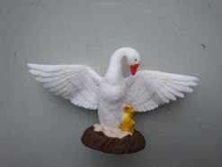 Zwaan Met Jong En Nest