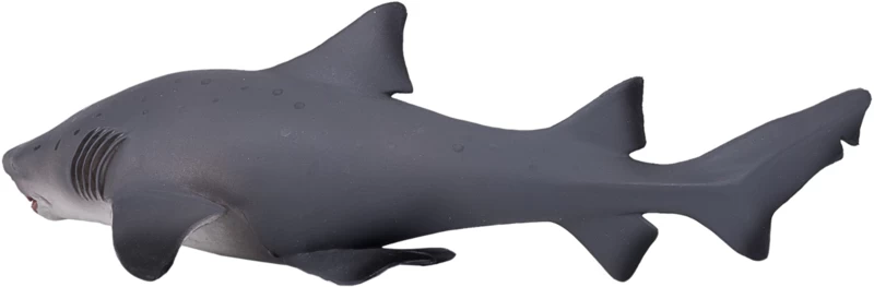 Zandtijgerhaai Mojo 387355 2 Zandtijgerhaai Mojo 387355 - Afbeelding 2