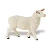 Schaap Ooi S246129
