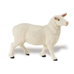 Schaap Ooi S246129