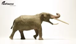 Konobelodon | EoFauna | -Dierenmodel Speelgoed Winkel 9d9f4ef56d906683a26913500ac008f39db511bc