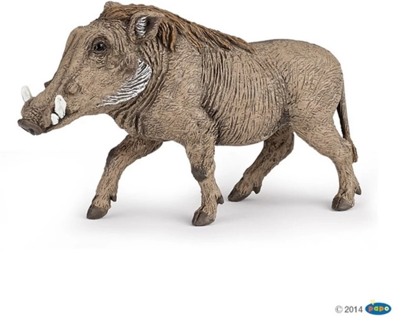 Wrattenzwijn Papo 50180 1 Wrattenzwijn Papo 50180