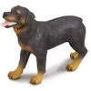 Rottweiler Hond CollectA 88189