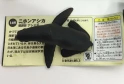 Japanese Sealion Kaiyodo