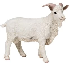 Geit Safari Ltd S160429