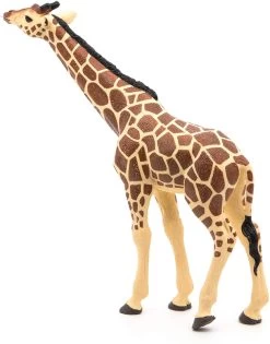Giraffe Etend Papo 50236 -Dierenmodel Speelgoed Winkel a33be9aec0ea9ae8c1aba2f3b4d2c077bb5cf5b7