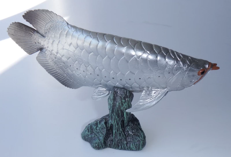 Arowana Zilverkleurig 2 Arowana Zilverkleurig - Afbeelding 2