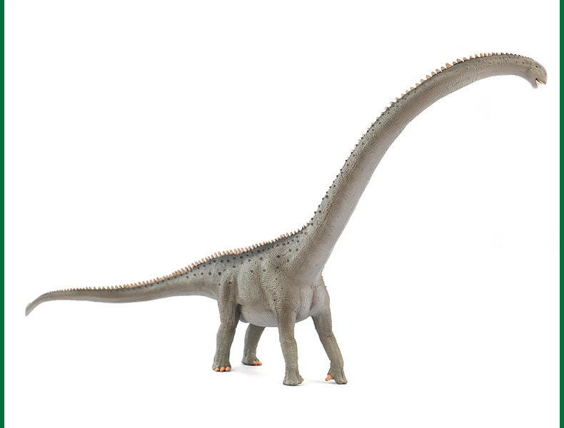 Mamenchisaurus "deluxe" CollectA 88908 4 Mamenchisaurus "deluxe" CollectA 88908 - Afbeelding 4