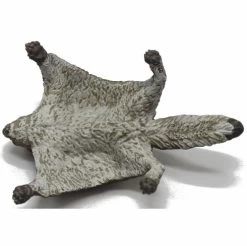 Vliegende Eekhoorn Papo 50296 7 Vliegende Eekhoorn Papo 50296 -Dierenmodel Speelgoed Winkel a9482ad64376a6ac4708ddef2507a7876981e4c5