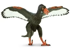 Archaeopteryx S302829