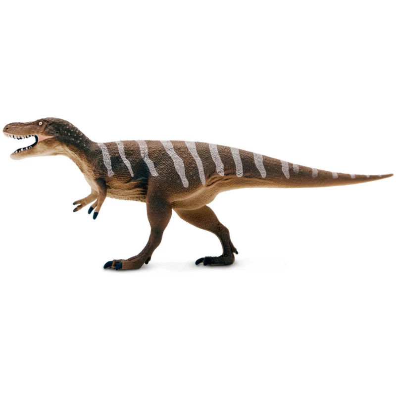 Nanotyrannus S101044 1 Nanotyrannus S101044