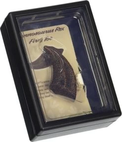 Eerste Teen Van T-Rex CollectA 89280