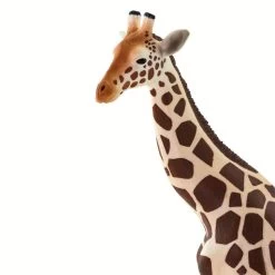 Giraffe S100421 7 Giraffe S100421 -Dierenmodel Speelgoed Winkel b08212313e2c3b7e7b7f2da9e2d8c1c94d79732c