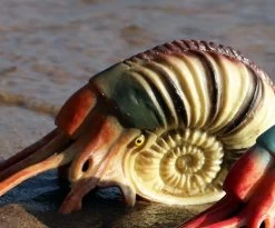 Nautilus -Dierenmodel Speelgoed Winkel b5846a612e12dc420751e5eacb8ad30b1c8d63e9