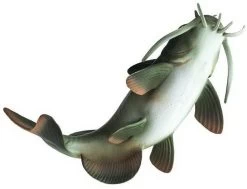 Meerval S100362 -Dierenmodel Speelgoed Winkel b7d2f26752352b63d77944a74d1e8570cf9ea218