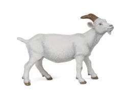 Geit Wit Papo 51144 -Dierenmodel Speelgoed Winkel b9422e7bb96c5fed9a57da25edbab460adaae18d