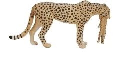 Cheetah Met Jong Mojo 387167 -Dierenmodel Speelgoed Winkel b9daa9da97087eb234394bede3bca36aff1e04f2