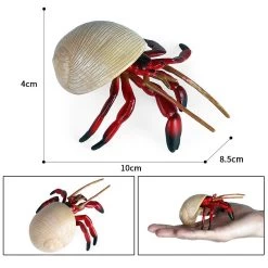 Heremietkreeft Rood