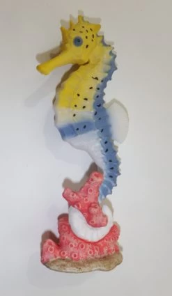 Zeepaard Groot