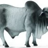 Brahman Stier CollectA 88579