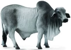Brahman Stier CollectA 88579
