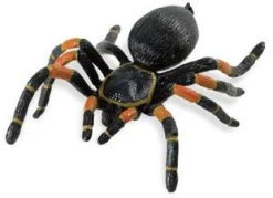 Tarantula S542006