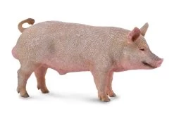 Varken Beer CollectA 88864