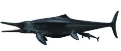 Temnodontosaurus Platyodon CollectA 88724