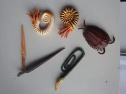 Prehistorisch Zeeleven Set Van 6