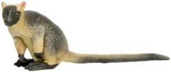 Boomkangeroo Southland Replicas -Dierenmodel Speelgoed Winkel c756e90ce391af733084bff0e462a59c15f0d987