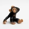 Chimpansee Jong 63686
