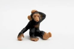 Chimpansee Jong 63686