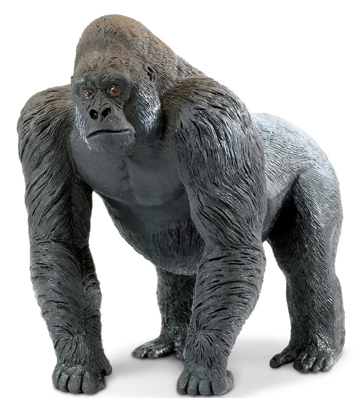 Gorilla XXL S111589 1 Gorilla XXL S111589