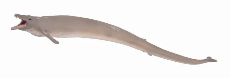 Basilosaurus CollectA 88797 1 Basilosaurus CollectA 88797